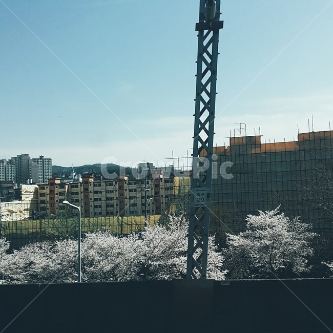 벚꽃,전철,도시,건물,철제,구조물