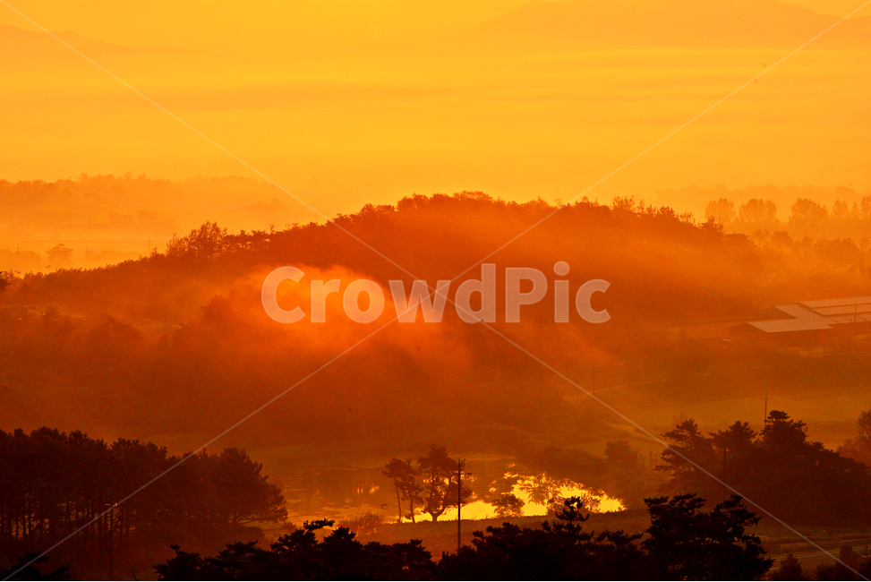 전남,함평,밀재,밀재일출,여명,아침,해돋이,sky,하늘,dawn,새벽,redsky,붉은하늘,fog,안개,plant,식물,nature,자연,outdoors,옥외,scenery,풍경,landscape,경치,mountain,산