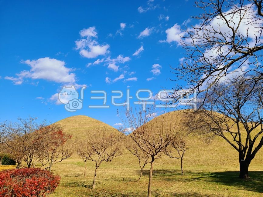 경주시,경주,대릉원,황남대총,고분,무덤,신라