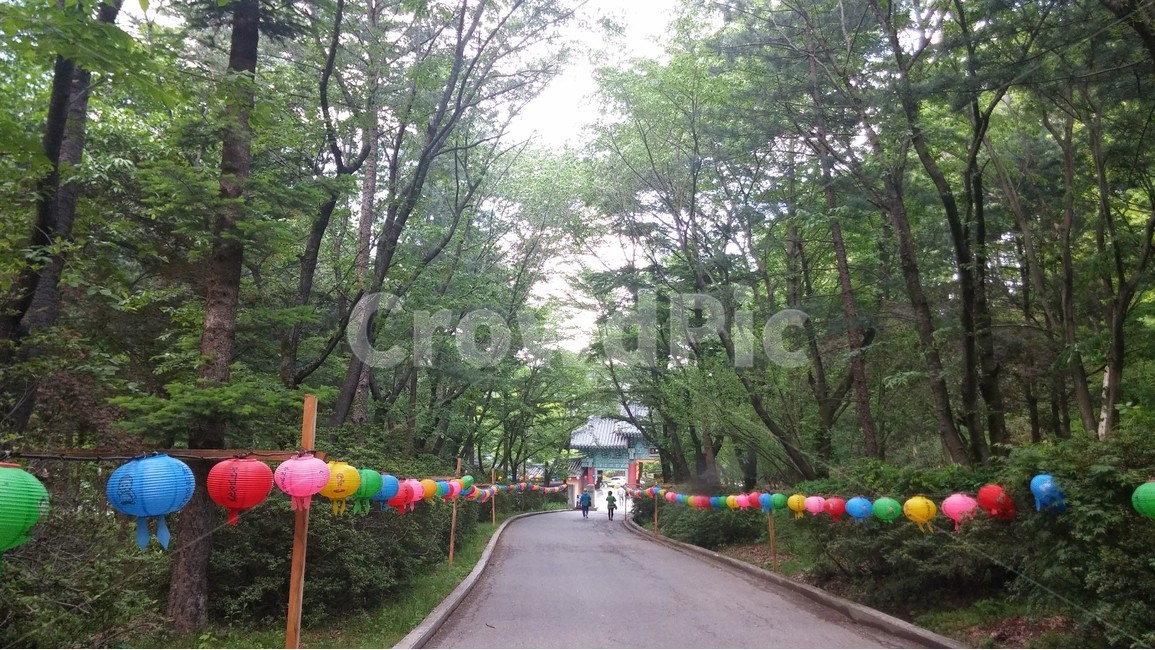 석가탄신일,사찰,5월,연등,초록,오색등,부처님오신날,관등놀이,초파일,연등축제,부처님탄생일,4월초파일,불교,절,산사,종교,직지사,종교,신앙,religion,belief,faith
