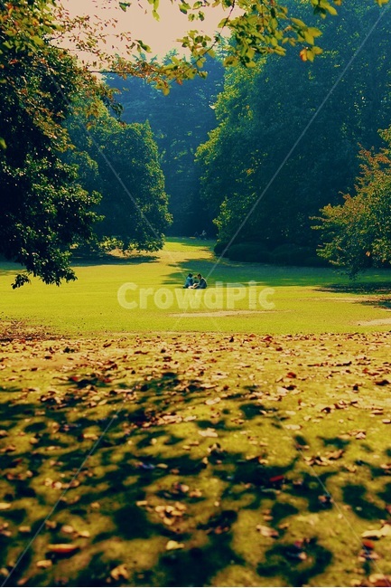 공원,park,잔디,grass,여유,휴식,휴일,holiday,조용,나무,숲,tree,forest,커플,couple,초록,relax,green,가을,계절,fall,autumn,season,자연,풍경,nature,landscape,사람,인물,인간,human,person,연인,커플,사랑,lover,couple,휴식,힐링,rest,relaxation,healing,plant,식물,outdoors,옥외