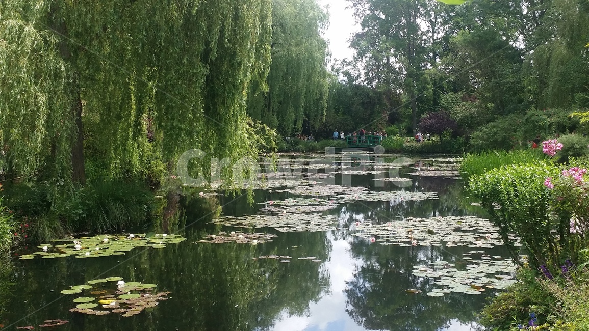 프랑스,지베르니,모네,정원,연못,수련,연꽃,버드나무,pond,garden,france,giverny,monet,water,lily,lotus,willow,tree,다리,bridge,자연,nature