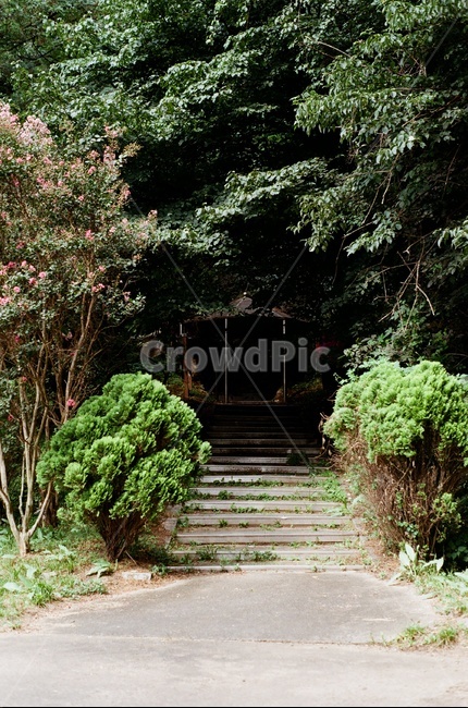 outdoors,옥외,garden,정원,arbour,정자,공원,대한민국,한국,충주,park,korea,chungju,자연,풍경,nature,landscape