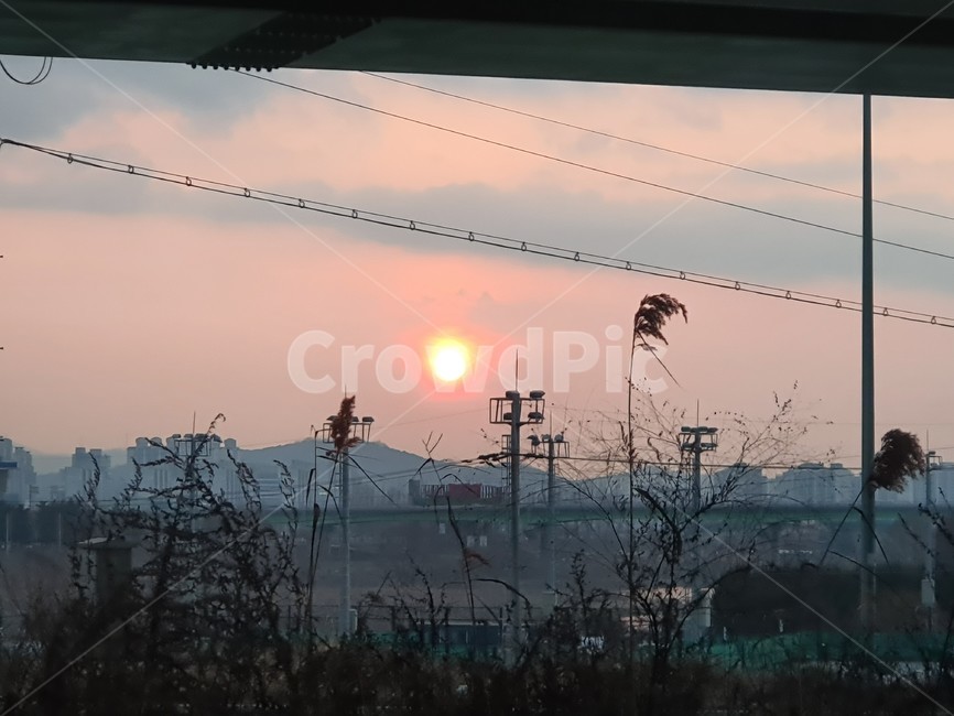 노을,일몰,저녁,하늘,갈대