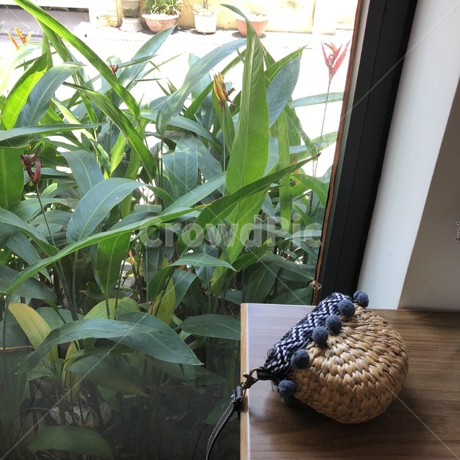 식물,감성,가방,bag,plants,사물,물건,오브젝트,thing,object,matter