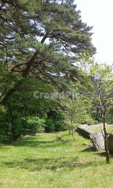 산길,산책,산책길,고요함,사색
