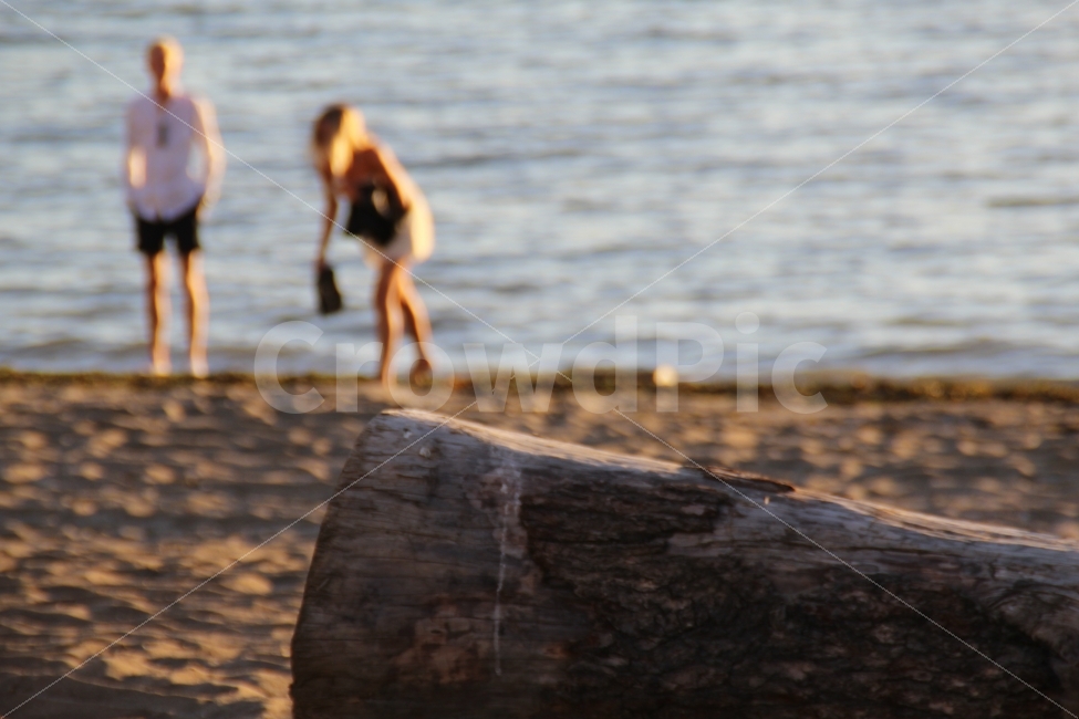 	바다,해변,바닷가,커플,연인,통나무,모래사장,백사장,풍경,경치,밴쿠버,잉글리쉬베이,서양인,해변,바다,beach,sea,여행,휴가,traveling,vacation,trip,사람,인물,인간,human,person,연인,커플,사랑,lover,couple