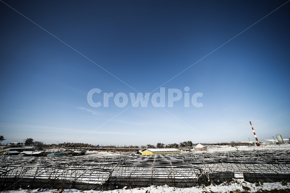 겨울,하늘,들,눈,설경,winter,sky,snow,landscape,풍경,겨울,계절,winter,season,자연,풍경,nature,landscape,outdoors,옥외