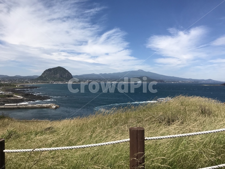 nature,자연,land,땅,outdoors,sea,바다,water,물,ocean,해안선,coast,shoreline,jeju,제주도,제주,수월봉,갈대,자연,풍경,nature,landscape,옥외,대양,연안