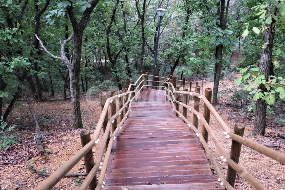 산,숲속,산행,산책,산책로,나무,데크,등산,계단,정비,자연,풍경,nature,landscape,boardwalk,building,건물,bridge,다리