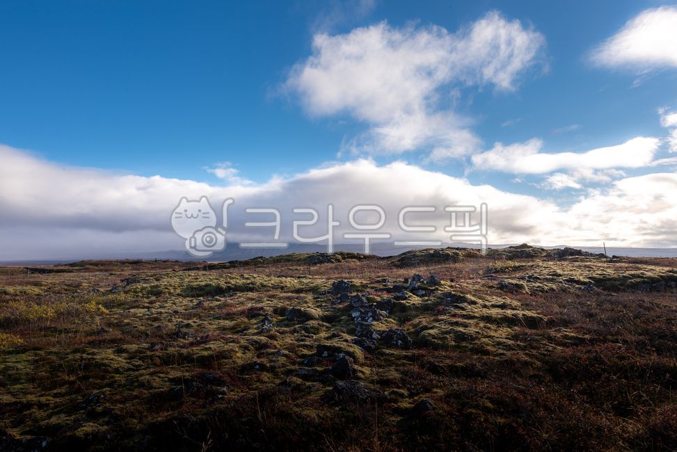 아이슬란드,iceland,유럽,europe,북유럽,northeurope,자연,nature,해외,overea,풍경,landscape,가을,autumn,fall,목초지,rassland,씽벨리어,thingvellir,국립공원,nationalpark