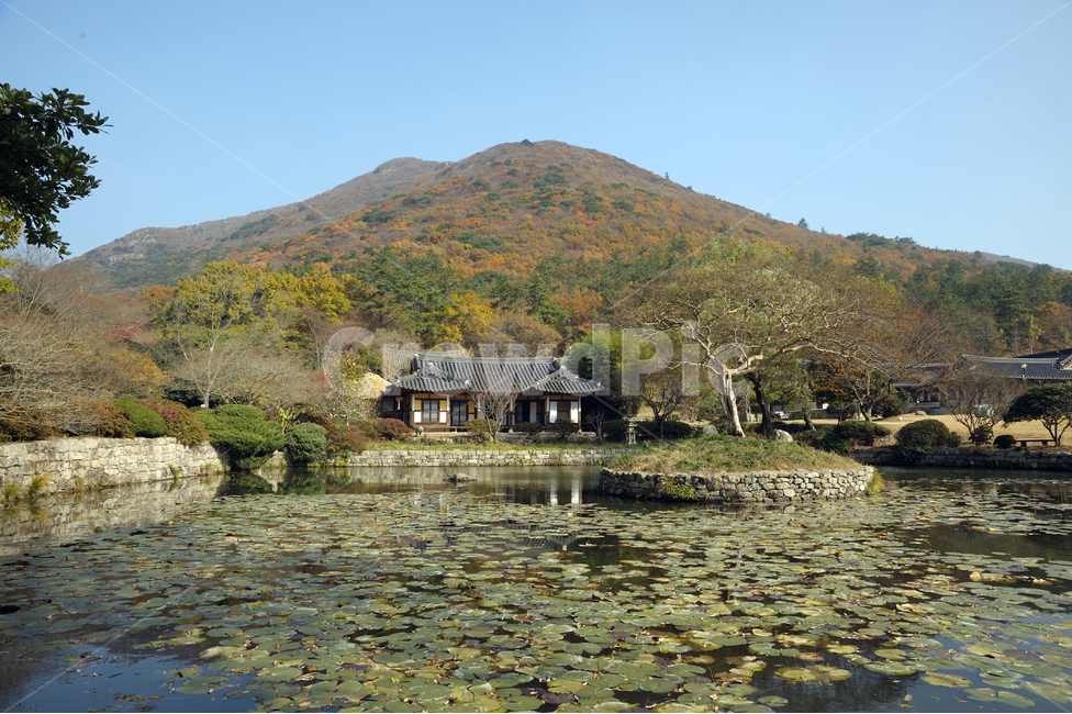 운림산방,진도,한국,문화재,서원,가을,계절,fall,autumn,season,자연,풍경,nature,landscape,한국자연풍경,한국자연경관,korea nature landscape,한국전통,한국문화,korean traditional,korean culture,건축물,건물외관,exterior,building,structure,architecture,construction,outdoors,옥외