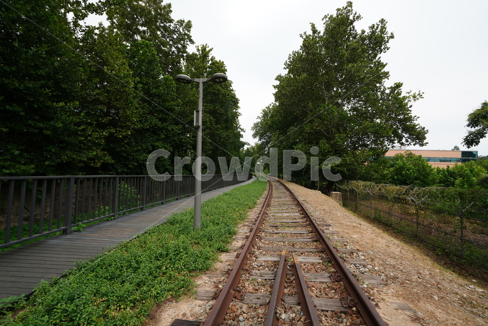 철길,레일,rail,길,철,기찻길,교통