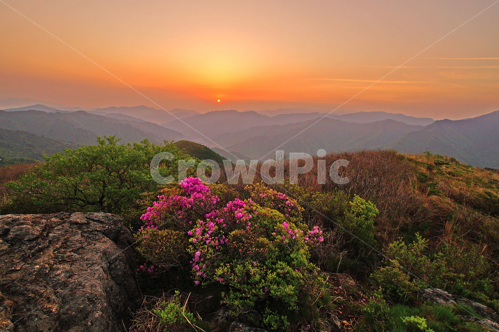 지리산,진달래,봄,일출,만복대,봄,계절,spring,season,자연,풍경,nature,landscape,outdoors,옥외