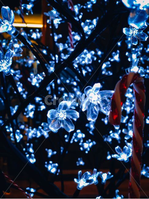 전구,크리스마스장식,카페,꽃전구,크리스마스트리,메리크리스마스,성탄절,merry christmas