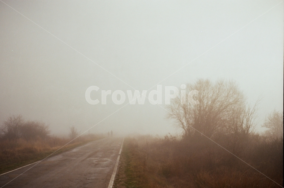 nature,자연,weather,날씨,outdoors,옥외,안개,자연,풍경,nature,landscape