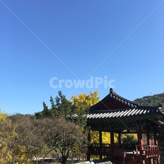 하늘,정좌,나무,풍경,sky,자연,풍경,nature,landscape,한국자연풍경,한국자연경관,korea nature landscape,한국전통,한국문화,korean traditional,korean culture,건축물,건물외관,exterior,building,structure,architecture,construction,porch,현관,patio,안마당,outdoors,옥외