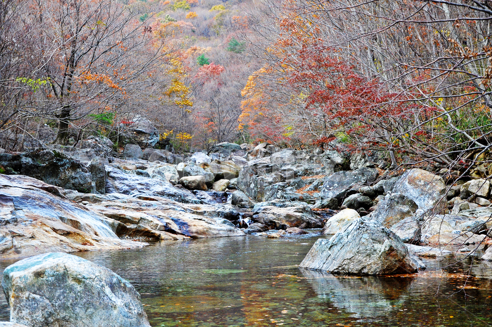 구례,피아골,피아골계곡,단풍,폭포,leaf,잎,plant,식물,tree,나무,maple,water,물,scenery,풍경,outdoors,옥외,nature,자연,landscape,경치,가을,계절,fall,autumn,season,자연,풍경,nature,landscape