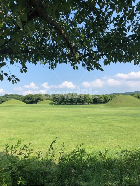 경주,대릉원,자연,여름,풍경,나무,구름,산,하늘