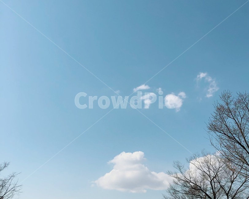 구름,하늘,풍경,자연풍경,파란하늘,cloud,sky,감성