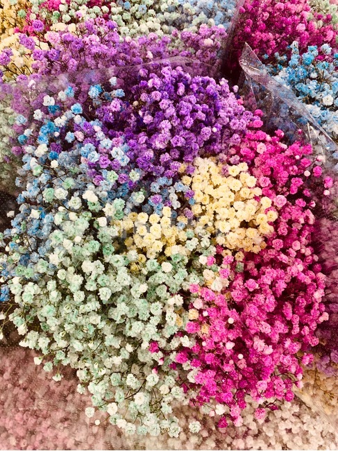 안개꽃,babybreaths,무지개,rainbow,파스텔,꽃,flower