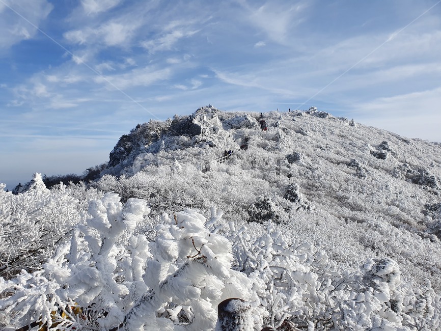 설산,눈,눈꽃,snowmountain,suricacid,tree,나무,plant,식물,outdoors,nature,자연,빙,ice,겨울,계절,winter,season
