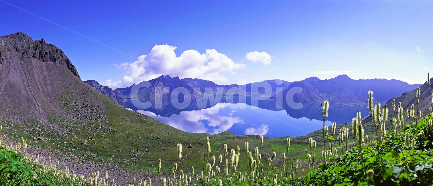 백두산,천지,구름,반영,야생화,nature,자연,outdoors,옥외,mountain,산,mountainrange,산맥,자연,풍경,nature,landscape