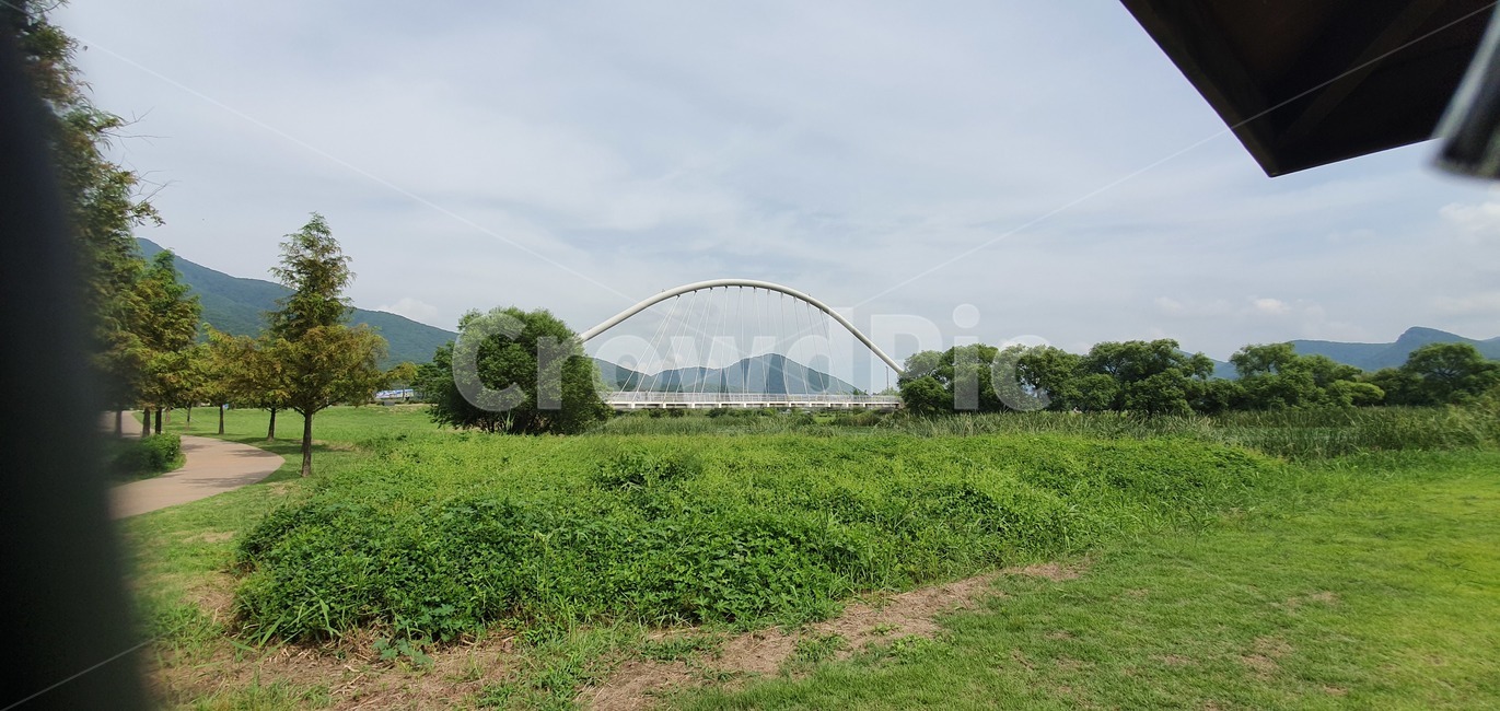 field,옥외,outdoors,자연,nature,물,아치형다리,다리