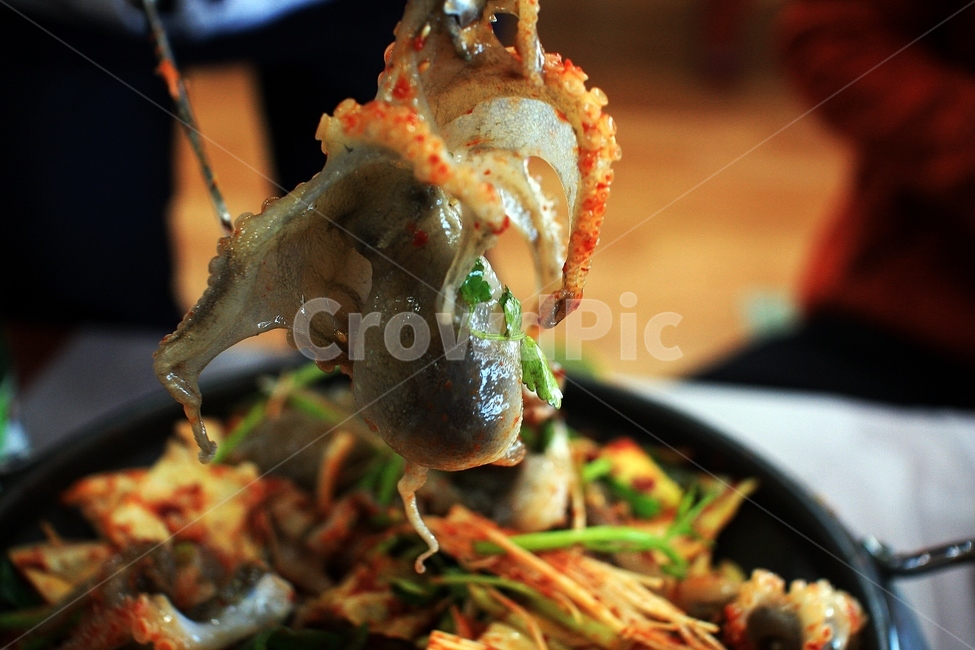 쭈꾸미,음식,매콤한,맛있는,바다음식,food,cook,소주