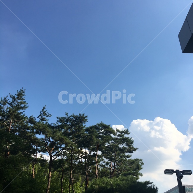 nature,outdoors,자연,구름,하늘,풍경,sky