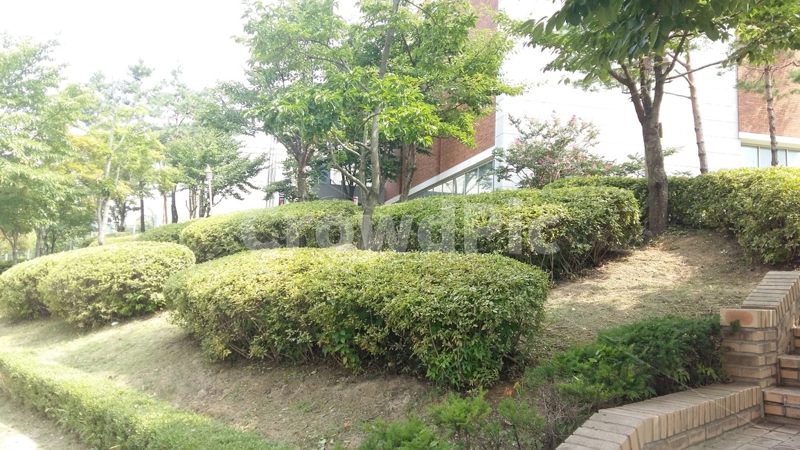 공원,조경,조성,길,나무