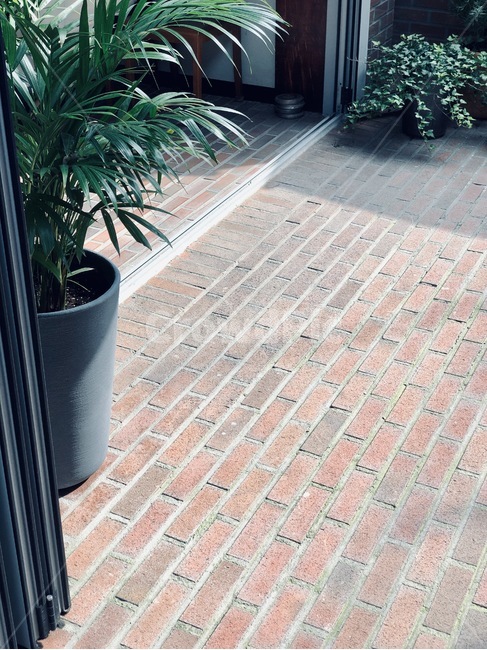 path,통로,판석,flagstone,식물,화분