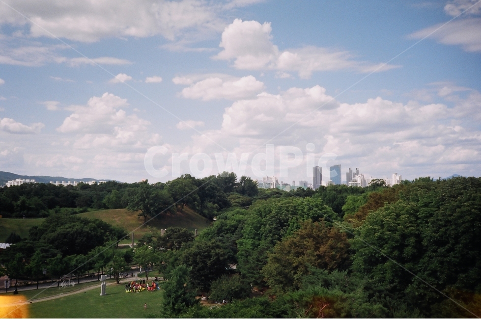 올림픽공원,숲,맑음,초여름,필름카메라,olympicpark,forest,sunny,filmcamera