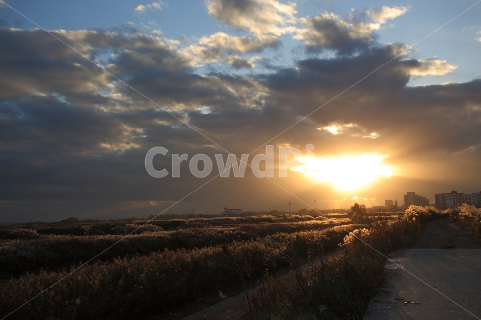 석양,일몰,하늘,구름,sky,sunset,cloud,자연,풍경,nature,landscape,한국자연풍경,한국자연경관,korea nature landscape,flare,플레어,light,빛,sunlight,햇빛,outdoors,옥외