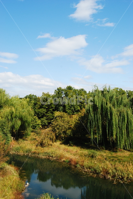 풍경,하늘,낮,숲,강,서울숲,자연,버들나무,구름,맑음,landscape,sky,morning,forest,river,cloud,tree,weed,잔디,sunshine