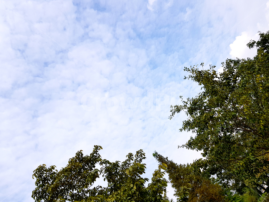 양산,양산수질공원,plant,식물,tree,나무,treetrunk,나무줄기,자연,풍경,nature,landscape