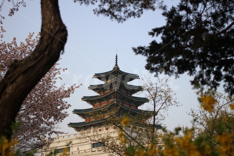 Gyeongbokgung,tourism,Tourist destination,travel,old palace
