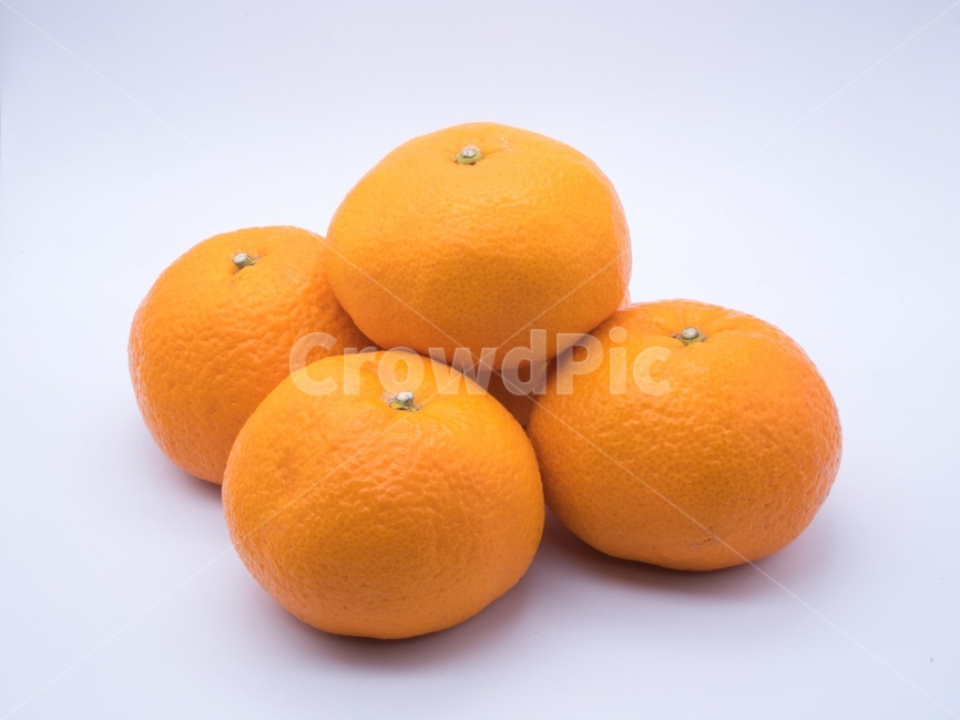 food,음식,citrusfruit,감귤류과일,fruit,orange,주황색,plant,식물,귤,오렌지,과일,겨울,열매,과일,열매,fruit