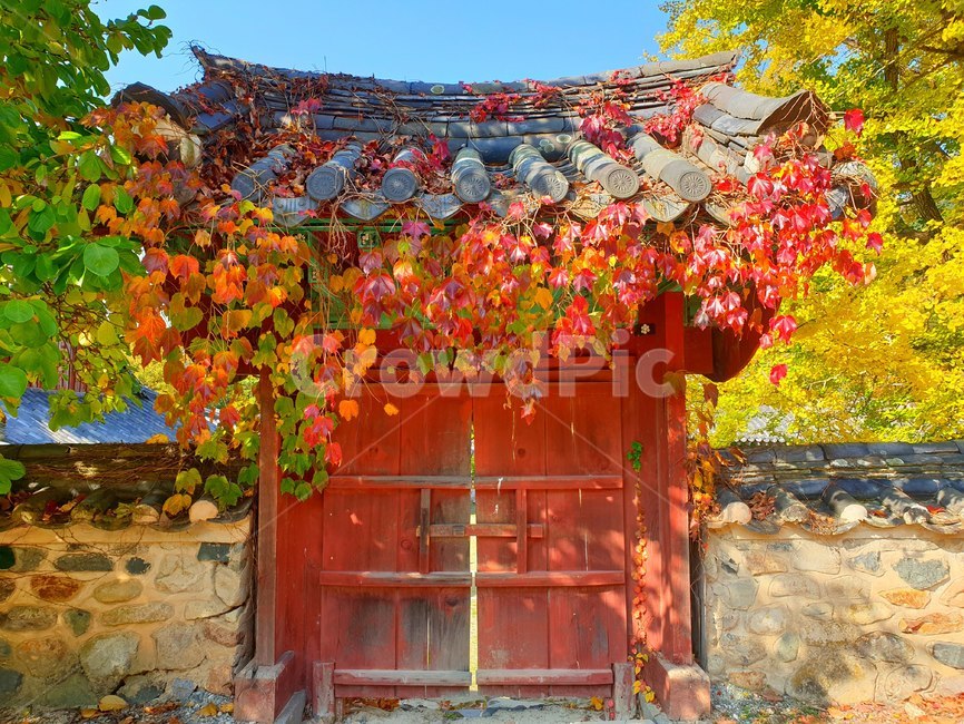 산사,가을,한옥,정자,정원,단풍,기와