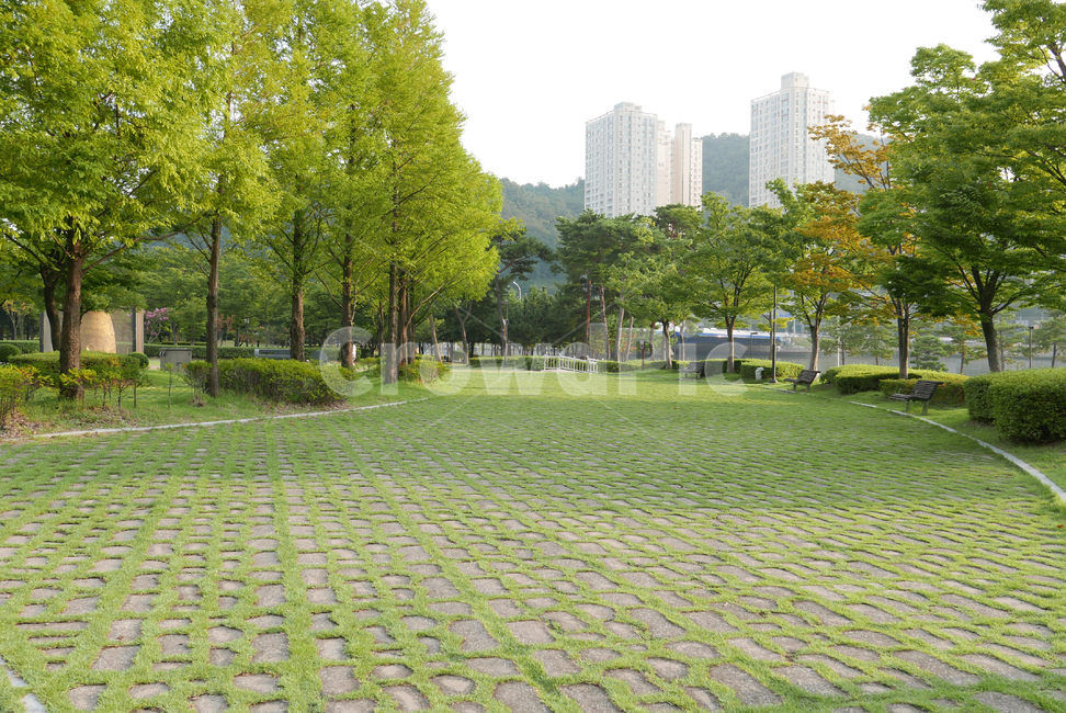 배경,풍경,하늘,자연,나무,야외,공원,나뭇가지,환경,숲,nature,landscapesky,park,tree