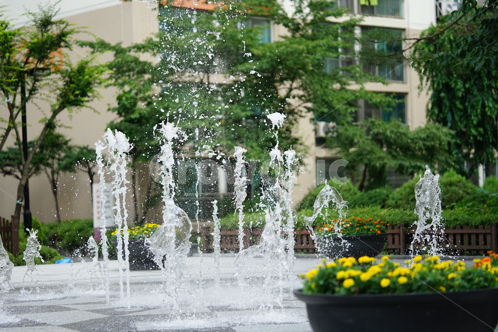 분수,물,물줄기,여름,계절,water,순간,순간포착,더위,summer,여름,계절,summer,season