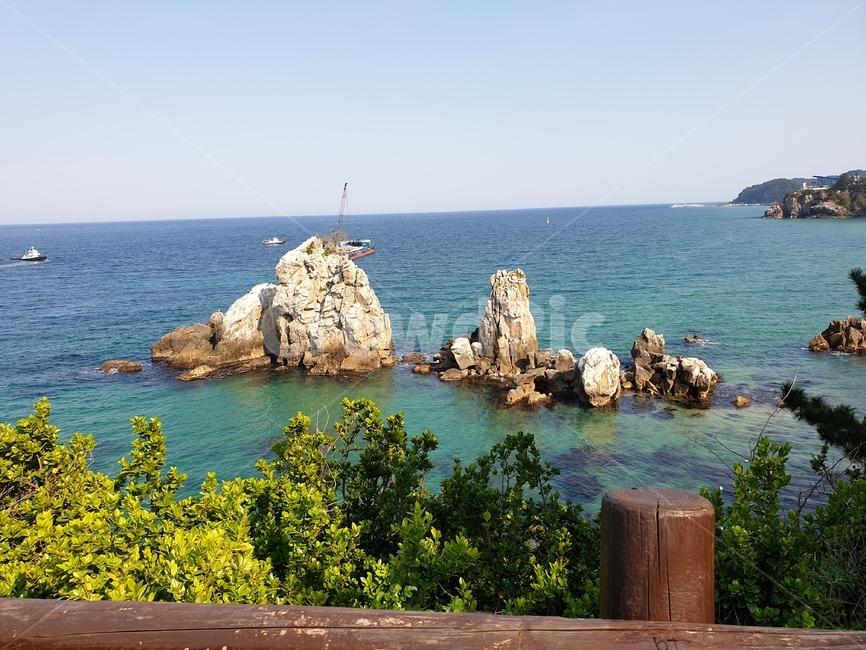 동해,바다,sea,동해바다,바위
