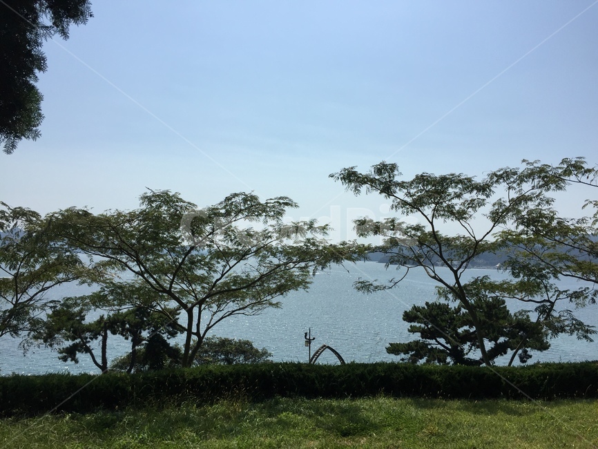자연,바다,초원,나무,들판,자연,풍경,nature,landscape,outdoors,옥외,grassland,목초지,field,들