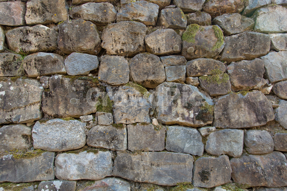 벽,이끼,wall,stonewall,돌담