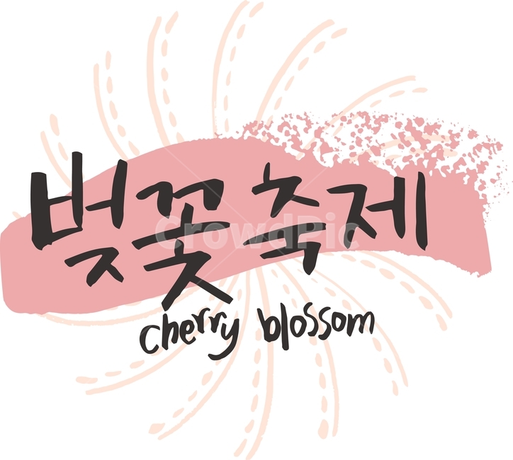 벚꽃놀이,벚꽃축제,일러스트,벡터,봄,캘리그라피,패턴,패키지,라인,텍스처,질감,다이어리,책표지,북커버,팝업,배너,계절,벚꽃,축제,꽃,캘리,번짐,잉크,캘리그라피,손글씨,calligraphy