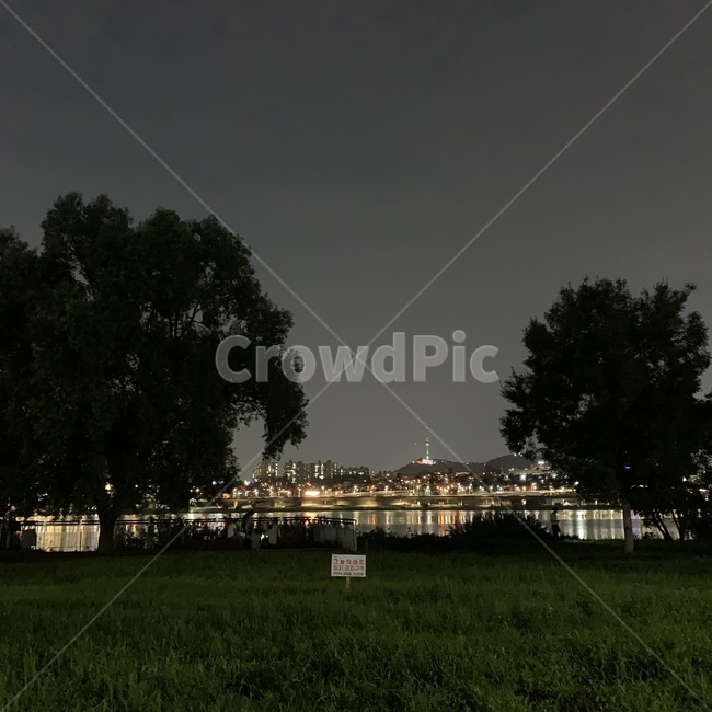 한강,서울타워,야경,night,나무,숲,grass,잔디,plant,식물,서울,불빛