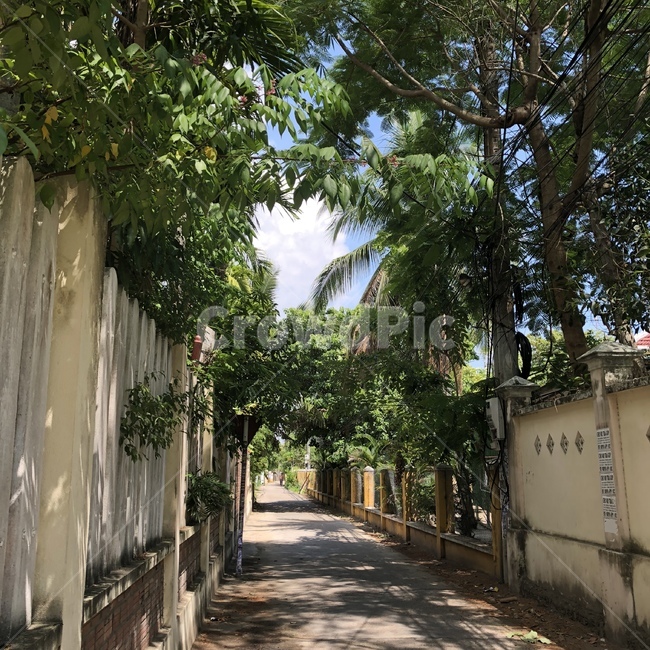 일상,나무,그늘,골목,길,골목길,alley,outdoors,옥외,garden,정원