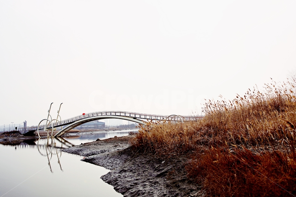 미생의다리,다리,생태공원,자연,풍경,배경,건축물,건물외관,exterior,building,structure,architecture,construction