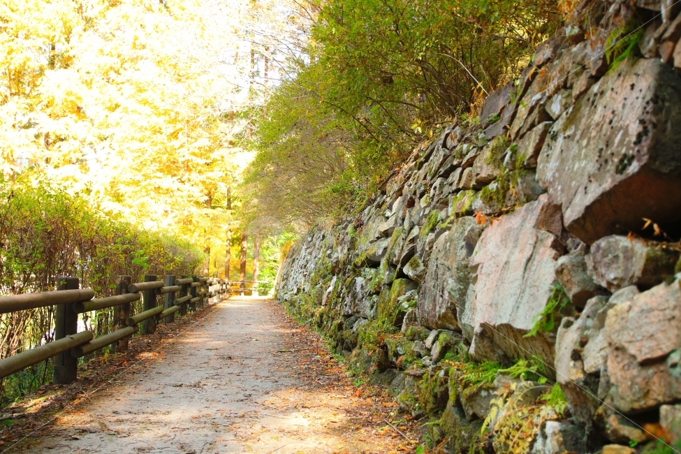 가을,길,풍경,감성,고독,가을,계절,fall,autumn,season,자연,풍경,nature,landscape,path,통로