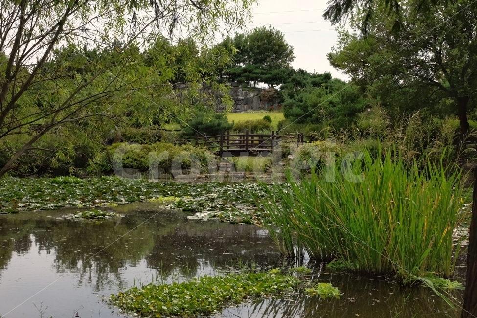정원,연못,자연,여름,풍경,자연,풍경,nature,landscape,land,땅,outdoors,옥외,water,물